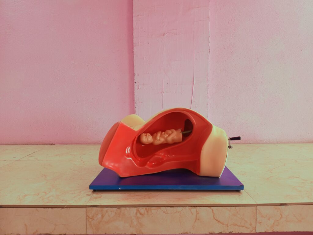 Simulation Lab Specimen